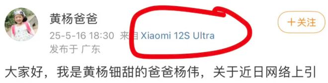 钿甜家里的10个好货！开元棋牌网站扒一扒黄杨(图10)