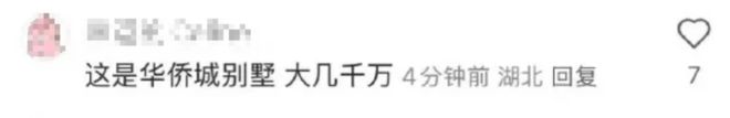 钿甜家里的10个好货！开元棋牌网站扒一扒黄杨(图5)