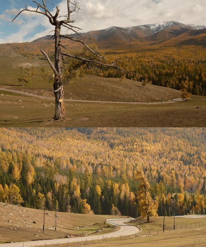 安排10月报团游新疆16天小团安排纯玩ky开元棋牌10月报团游新疆十六天最佳