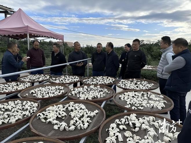 ！央视再曝光新骗局已经大量老百姓上当开元棋牌网站利润20倍成本70卖上千(图4)