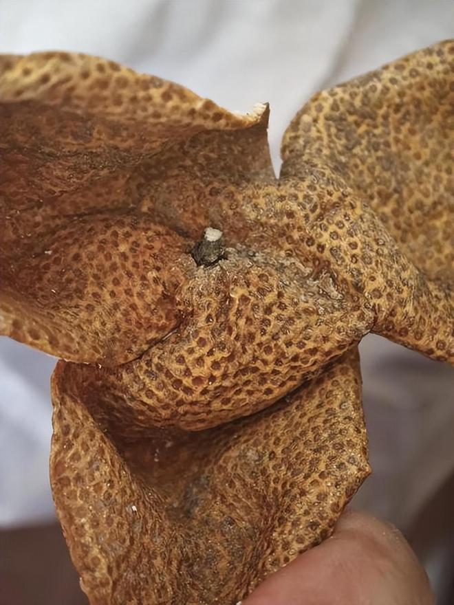 ！央视再曝光新骗局已经大量老百姓上当开元棋牌网站利润20倍成本70卖上千(图12)