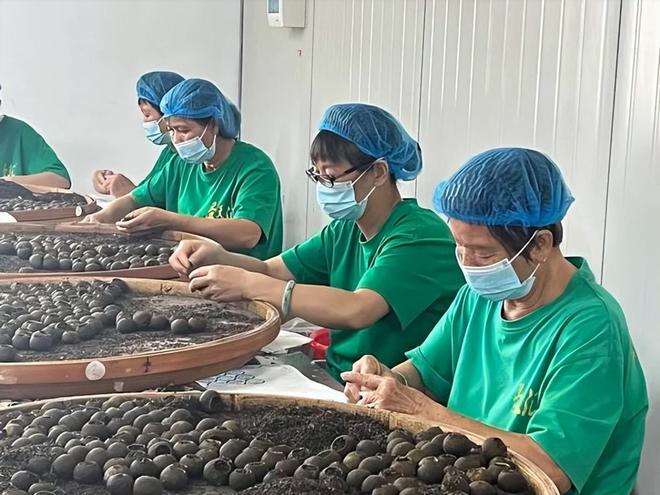 ！央视再曝光新骗局已经大量老百姓上当开元棋牌网站利润20倍成本70卖上千(图16)